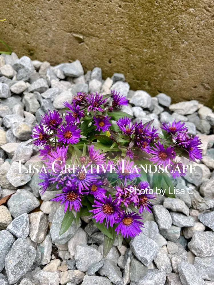 Professional residential landscaping experts serving Chicago, IL - Lisa Creative Landscape