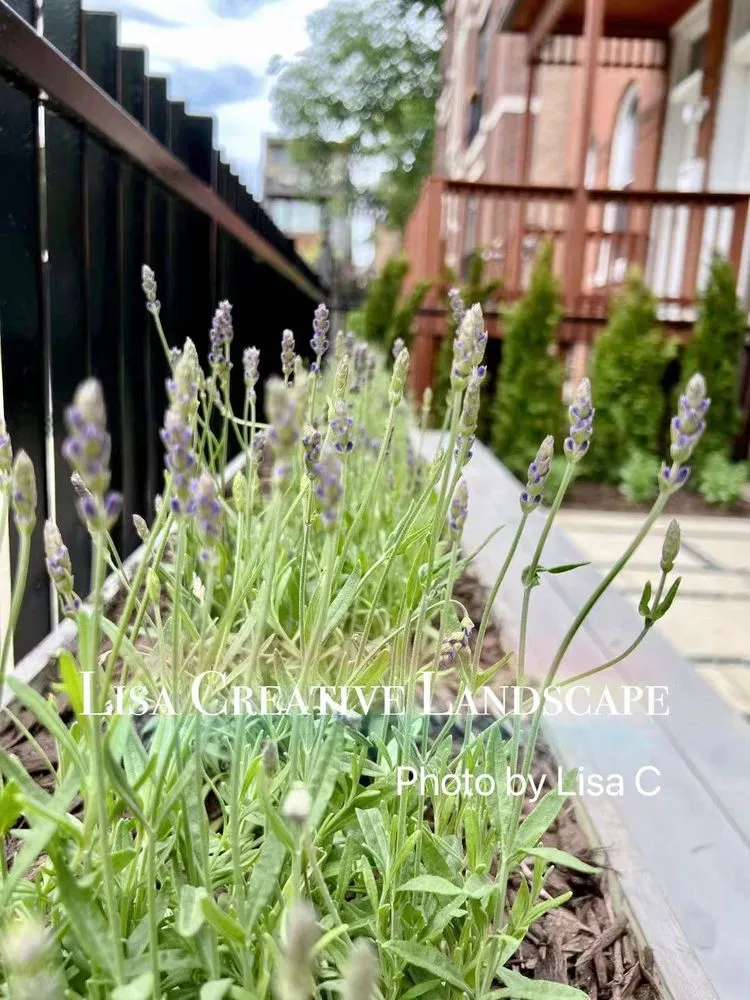 Trusted residential landscaping experts serving Chicago, IL - Lisa Creative Landscape