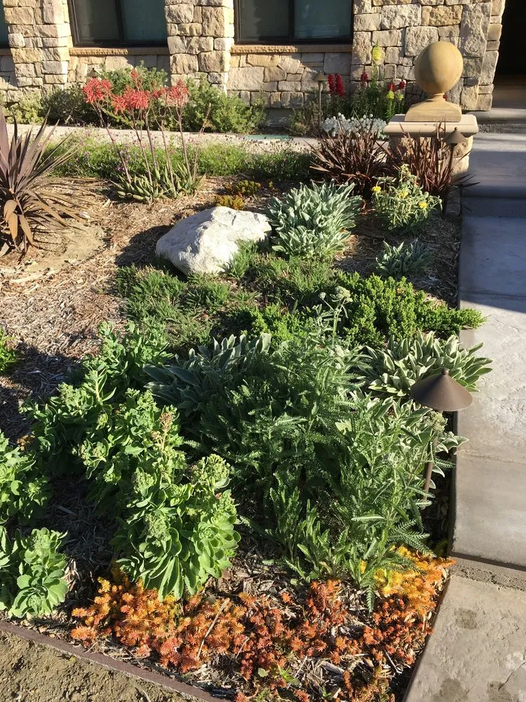 Trusted yard cleanup service for homes in Santa Clarita, CA by Lisa Esposito Design
