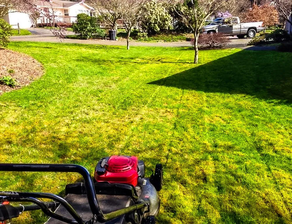 Local yard maintenance for homes in Tacoma, WA by Lisa Landscaping & Construction