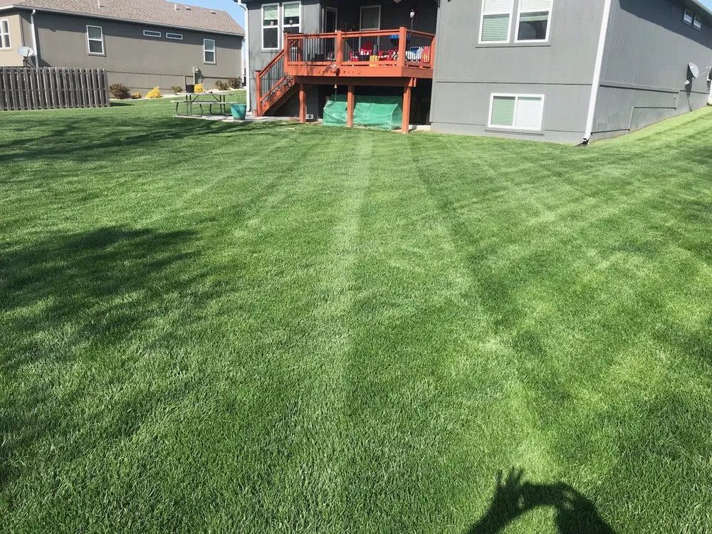 Affordable lawn care service in Lee's Summit, MO by Lisa’s Lawn Care
