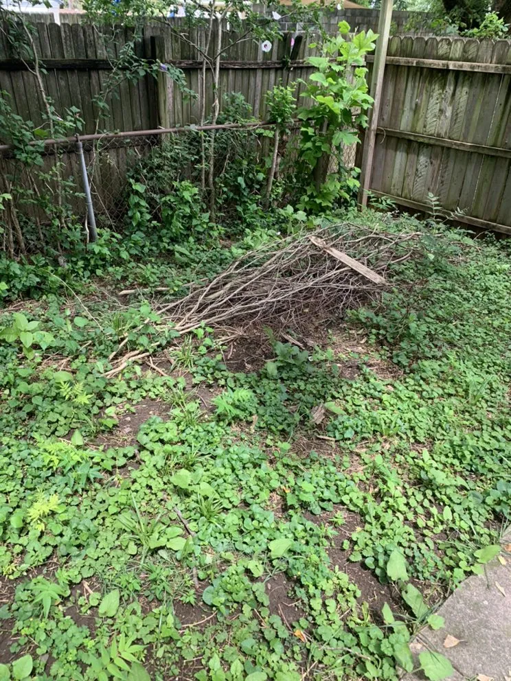 Affordable landscape design in York, PA by Lisbon Family Services