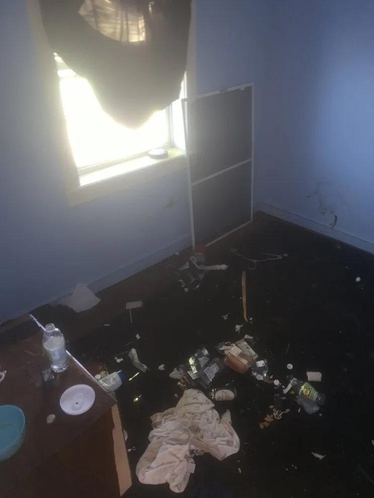 Top-rated yard cleanup service for beautiful yards in York, PA by Lisbon Family Services