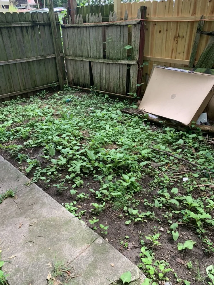 Expert residential landscaping experts serving York, PA - Lisbon Family Services