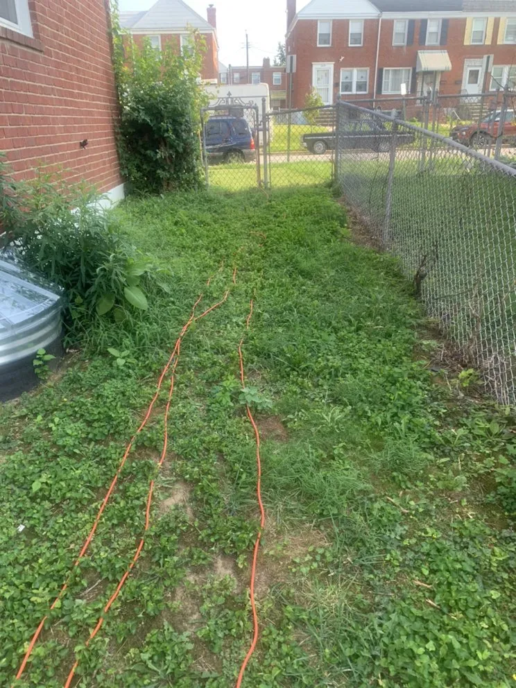 Reliable lawn mowing service for beautiful yards in York, PA by Lisbon Family Services