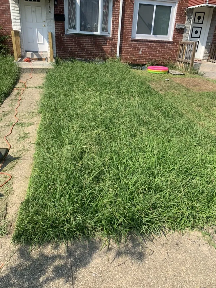 Professional lawn care service experts serving York, PA - Lisbon Family Services