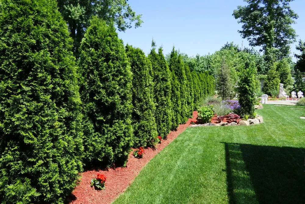 Expert landscape installation experts serving Ozone Park, NY - Lisena Landscaping