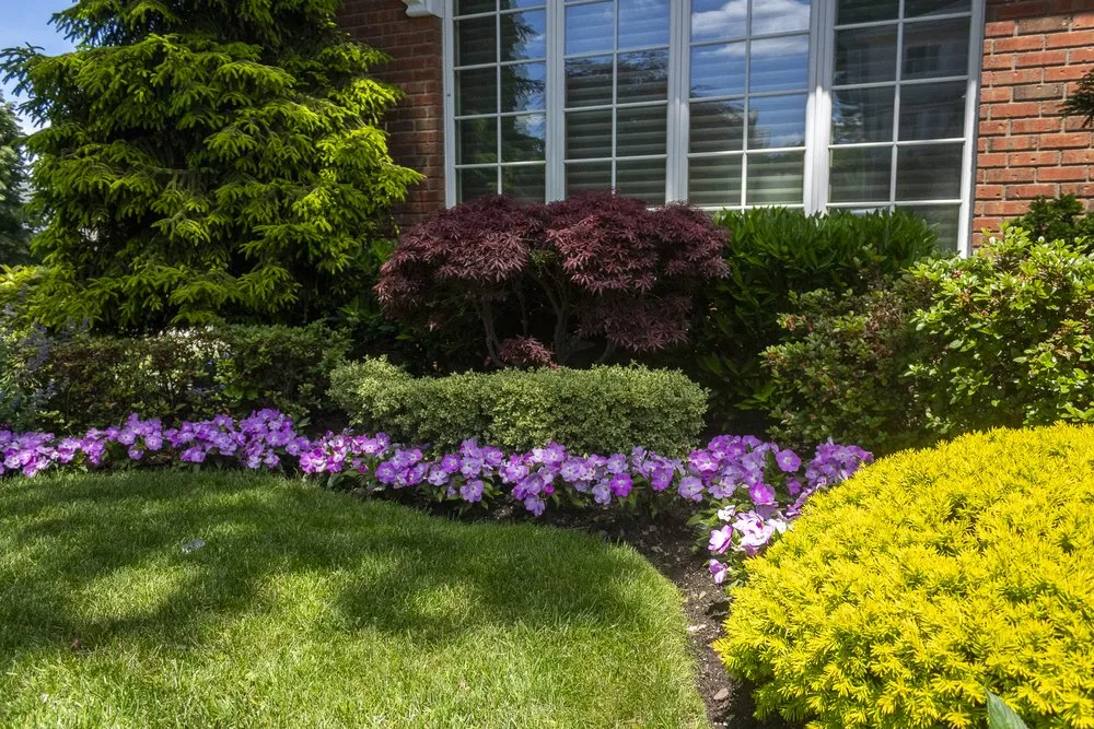 Local lawn mowing service in Ozone Park, NY - Lisena Landscaping