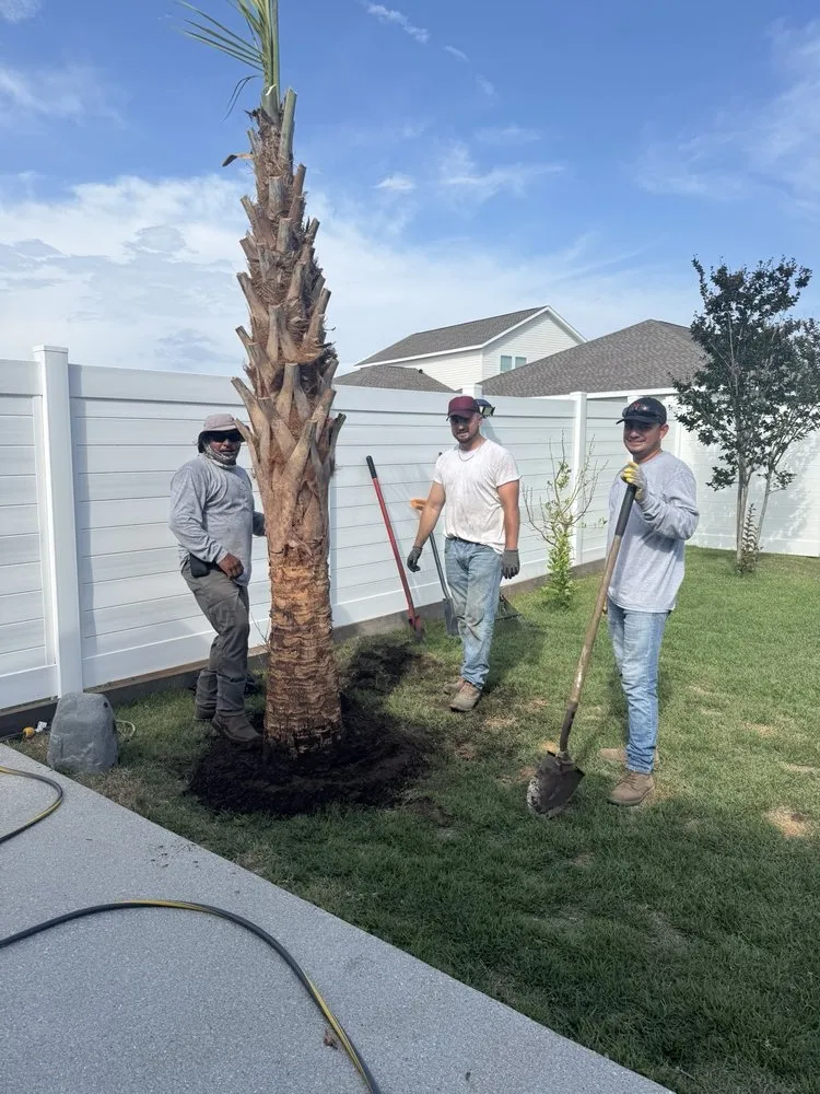 Custom garden landscaping for residential properties in Panama City Beach, FL by Lisenby Palms & Beach Nursery