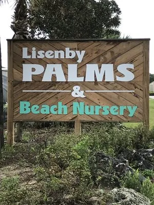 Lisenby Palms & Beach Nursery