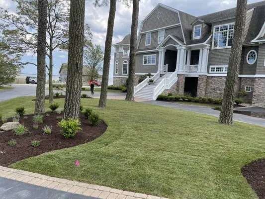 Lish’ Luxury Lawn And Lanscape