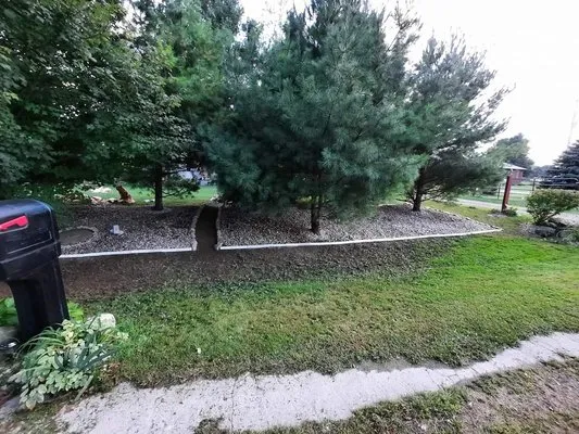 Lisha’s Lawn Pimpin