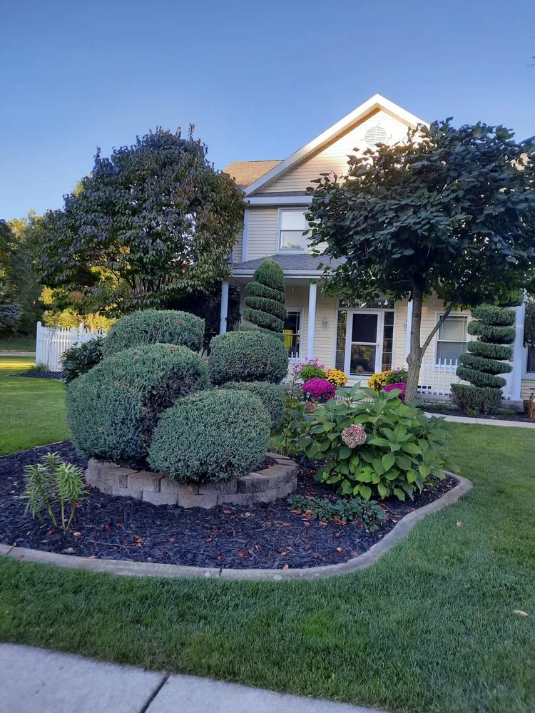 Professional yard cleanup service experts serving Montgomery, MI - Lisha's Lawn Pimping