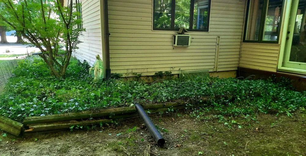 Trusted yard cleanup service for year-round maintenance across Montgomery, MI - Lisha's Lawn Pimping