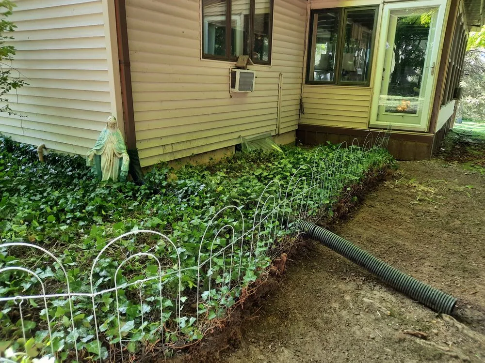 Professional residential landscaping experts serving Montgomery, MI - Lisha's Lawn Pimping