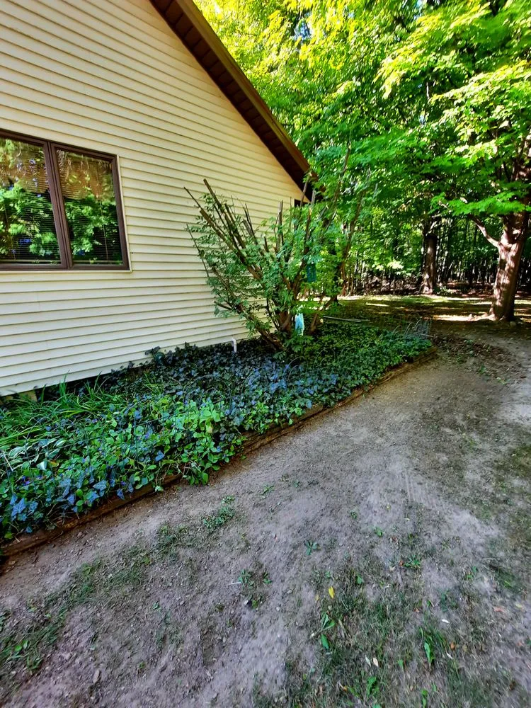 Professional yard maintenance in Montgomery, MI by Lisha's Lawn Pimping