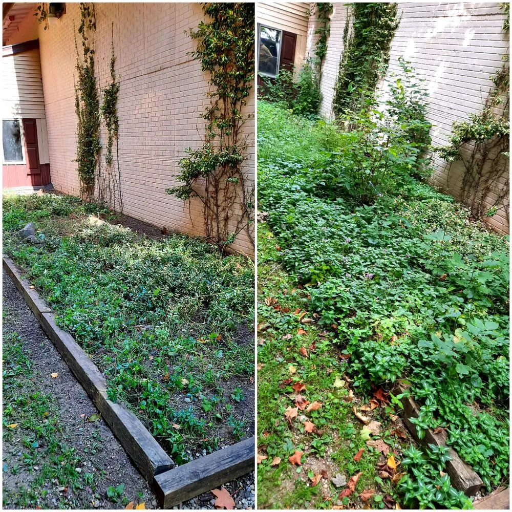 Reliable yard cleanup service with custom design across Montgomery, MI - Lisha's Lawn Pimping