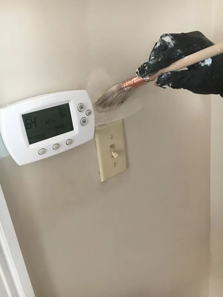 Affordable landscaping services experts serving Cambridge, MA - Lisse Services