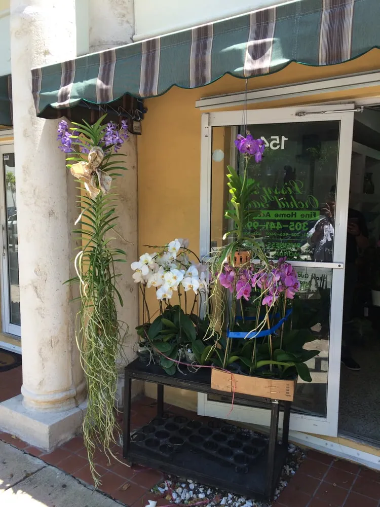 Affordable yard maintenance in Coral Gables, FL - Lissy's Orchid Garden
