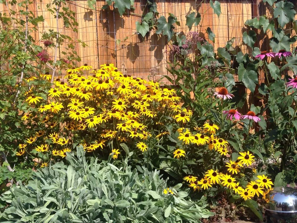 Reliable landscape design in Livingston, MT by Litchfields Landscape Design