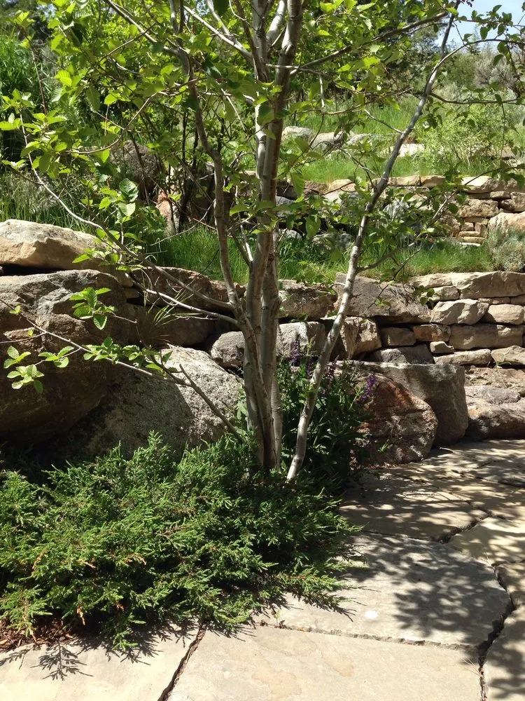 Custom yard maintenance experts serving Livingston, MT - Litchfields Landscape Design