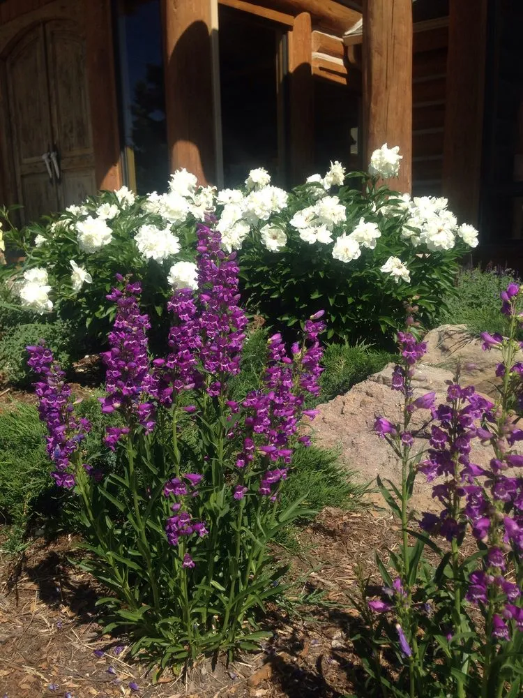 Custom garden landscaping in Livingston, MT by Litchfields Landscape Design