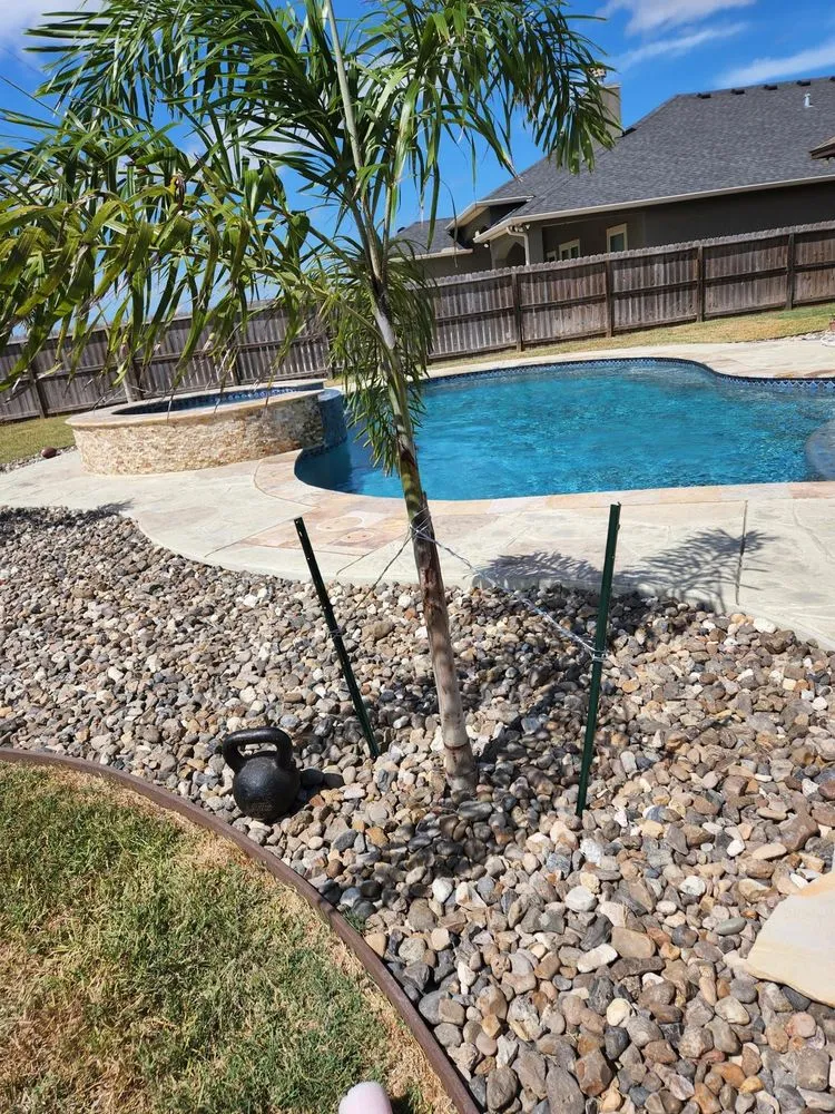 Professional yard cleanup service near you across Corpus Christi, TX - Élite Landscaping Services and More