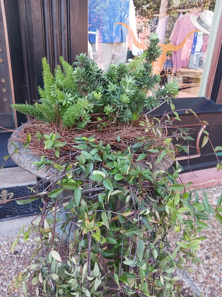 Custom landscape installation for residential properties in Hilliard, FL by Lithe Landscape Design