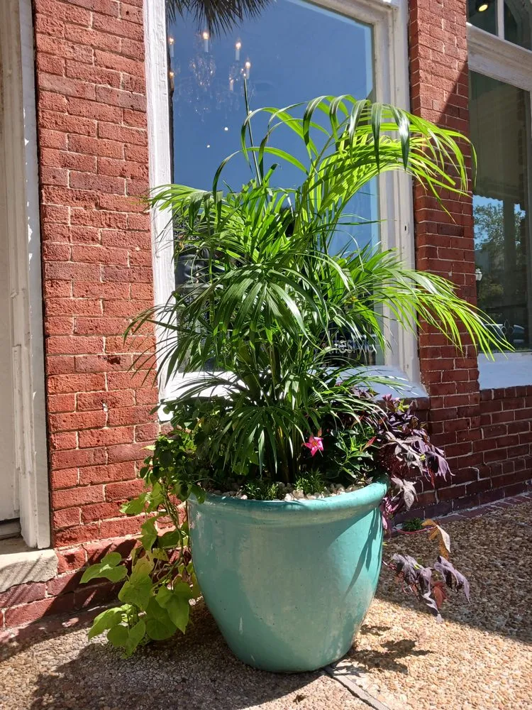 Top-rated yard maintenance for residential properties across Hilliard, FL - Lithe Landscape Design