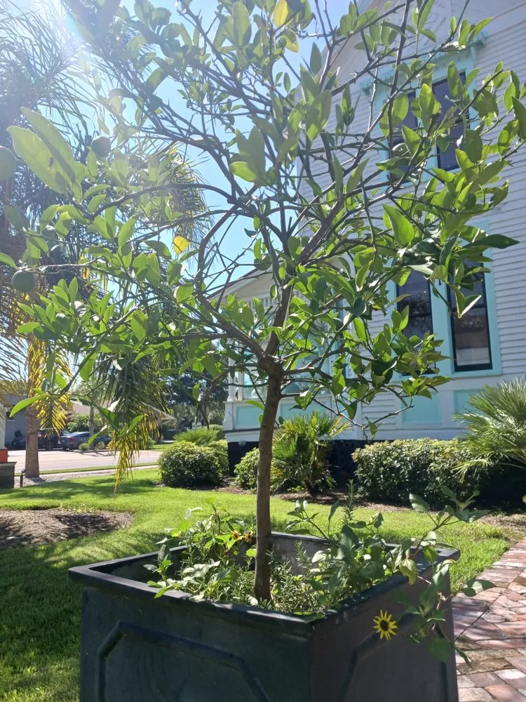 Expert landscape design experts serving Hilliard, FL - Lithe Landscape Design