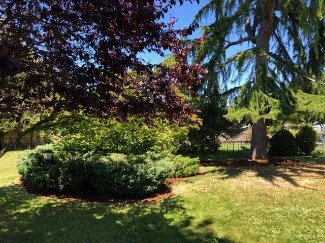 Affordable residential landscaping experts serving Seattle, WA - Lito's Quality Garden