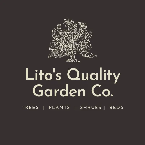Top-rated lawn mowing service for homes in Seattle, WA by Lito's Quality Garden