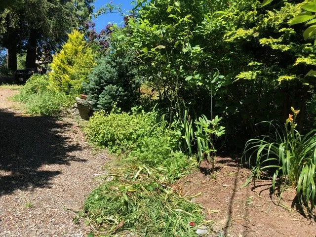 Professional landscape design experts serving Seattle, WA - Lito's Quality Garden