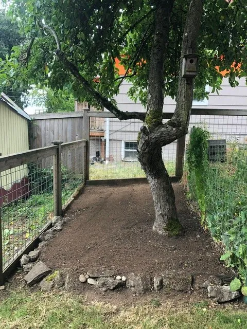 Trusted yard cleanup service in Seattle, WA by Lito's Quality Garden