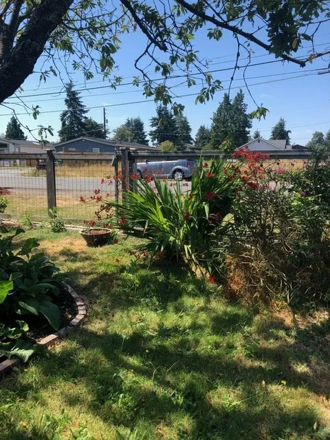 Reliable garden landscaping in Seattle, WA - Lito's Quality Garden