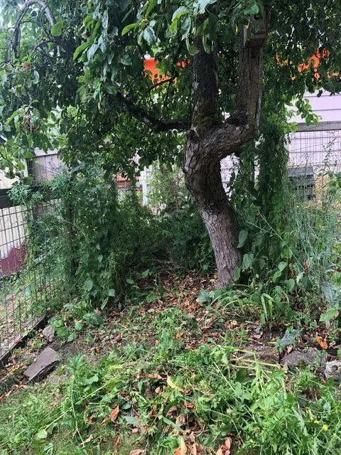 Trusted landscape installation in Seattle, WA by Lito's Quality Garden