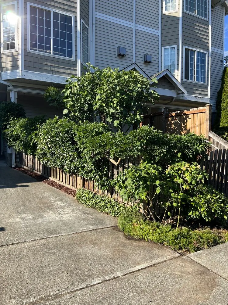 Reliable landscape design near you in Seattle, WA by Lito's Quality Garden