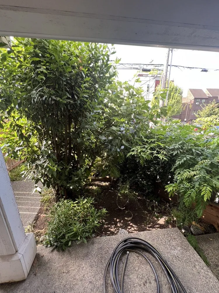 Custom lawn care service experts serving Seattle, WA - Lito's Quality Garden