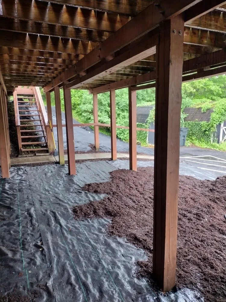 Professional residential landscaping in Johnstown, PA - Litterine Landscaping