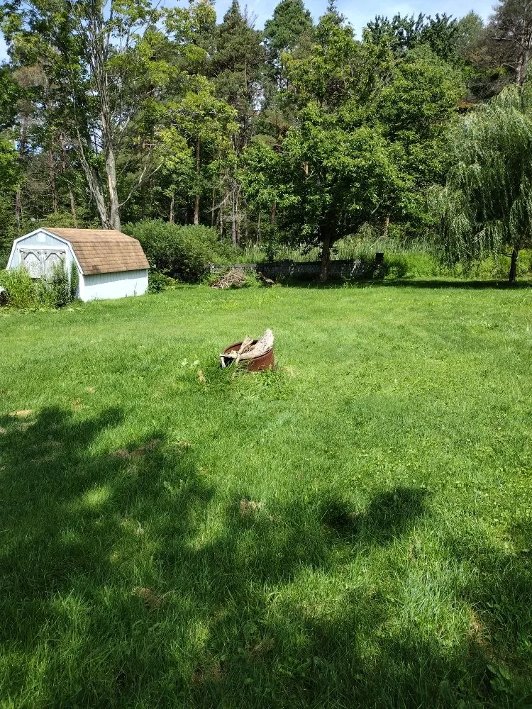 Custom yard maintenance experts serving Johnstown, PA - Litterine Landscaping