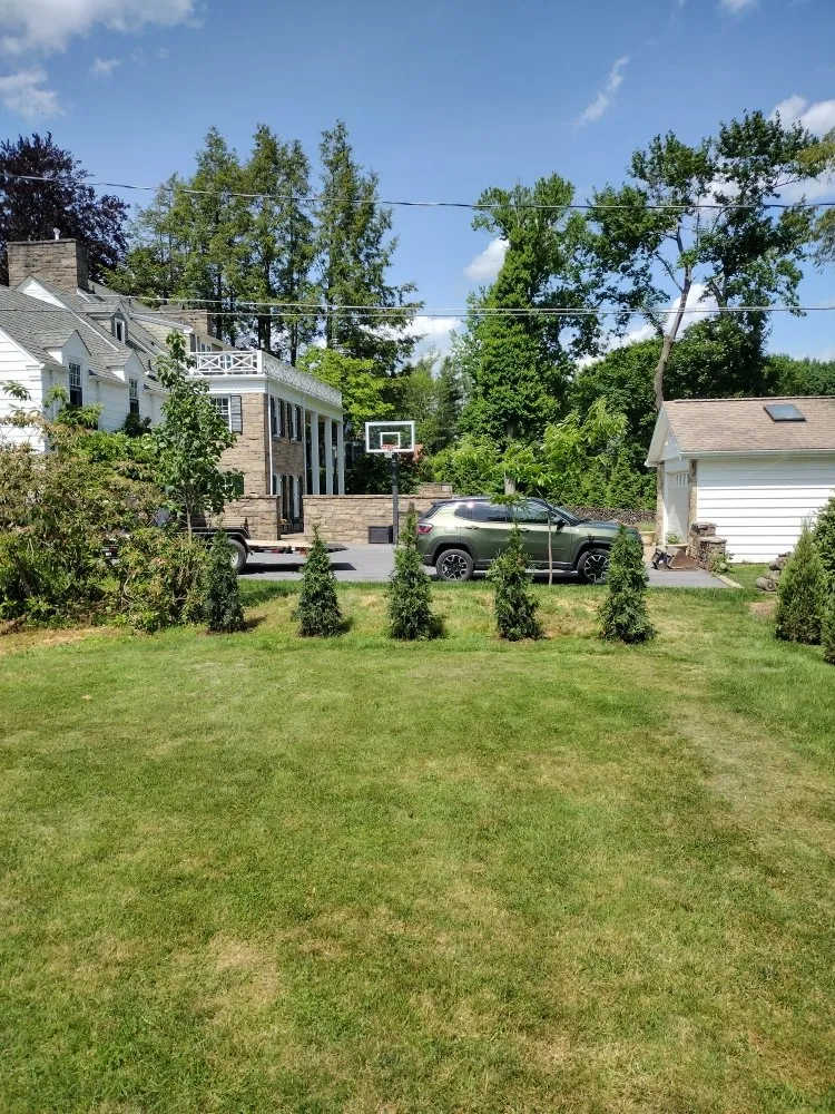 Trusted yard cleanup service experts serving Johnstown, PA - Litterine Landscaping