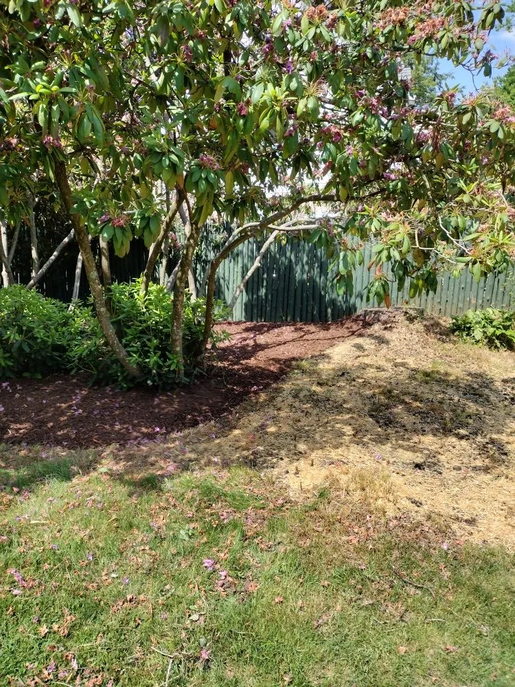 Local lawn care service for beautiful yards across Johnstown, PA - Litterine Landscaping