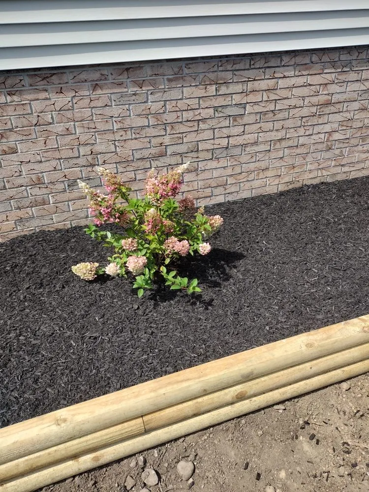 Local landscaping services in Johnstown, PA - Litterine Landscaping