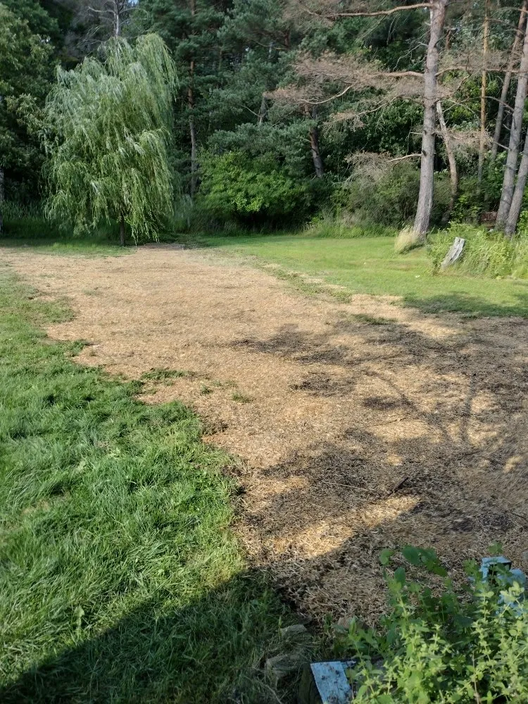 Custom lawn care service experts serving Johnstown, PA - Litterine Landscaping