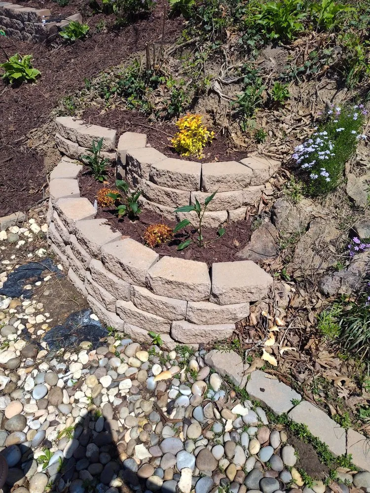 Professional lawn care service in Edwardsville, IL by Little Ant Landscaping