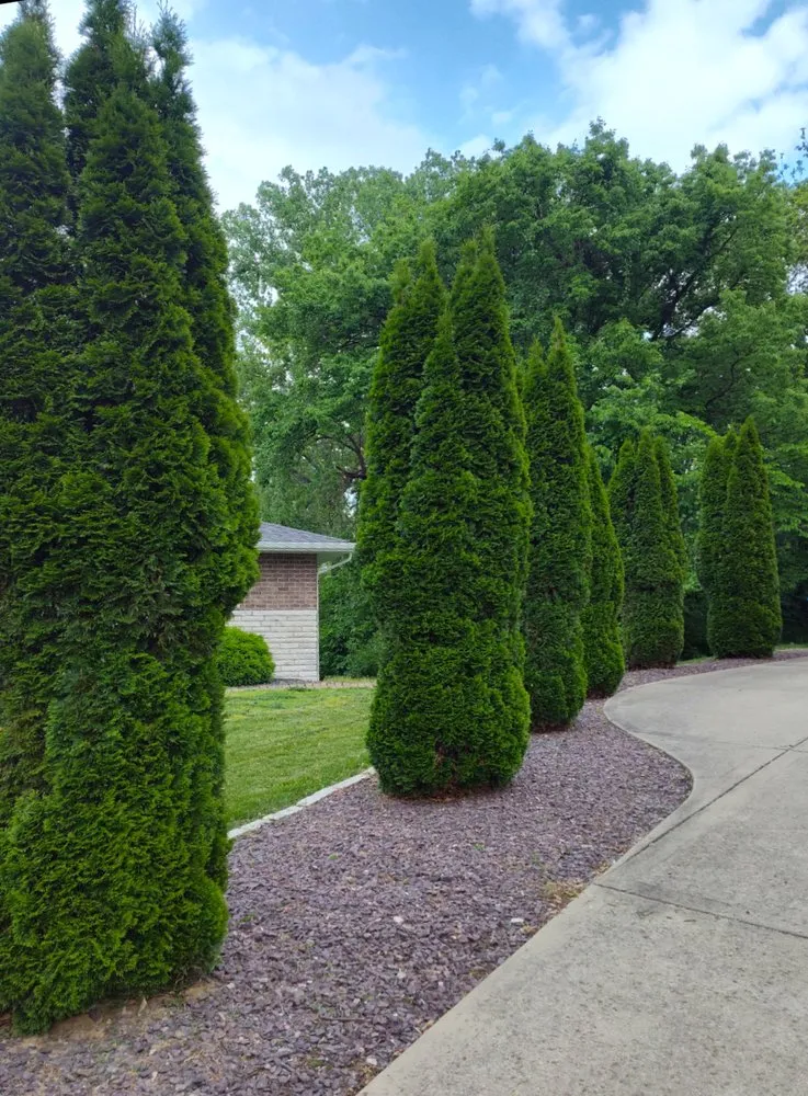 Custom landscape design in Edwardsville, IL - Little Ant Landscaping