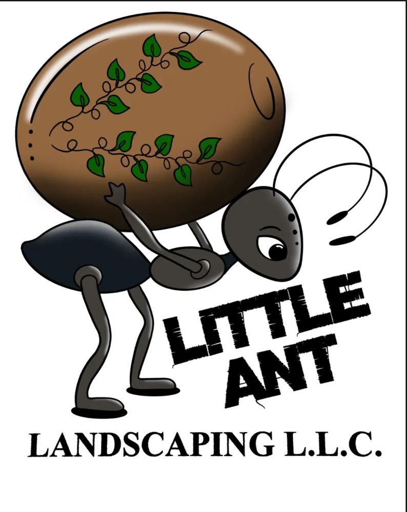 Reliable yard cleanup service in Edwardsville, IL by Little Ant Landscaping