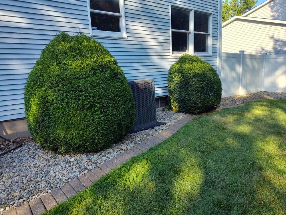 Top-rated landscaping services in Edwardsville, IL by Little Ant Landscaping