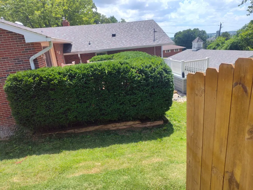 Trusted yard maintenance in Edwardsville, IL by Little Ant Landscaping