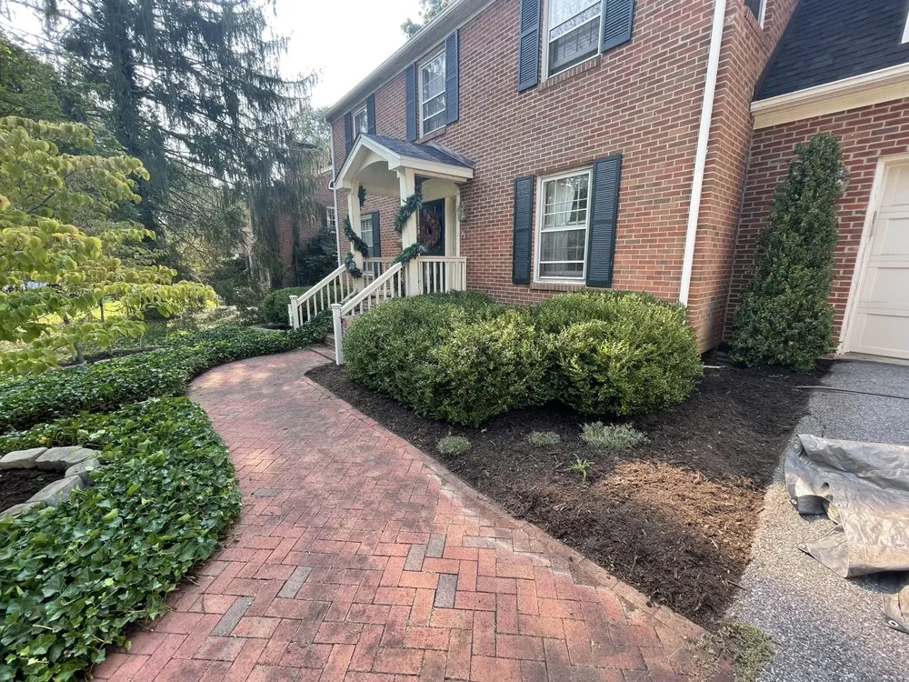 Professional yard cleanup service in Christiansburg, VA - Little Bear Lawn Care